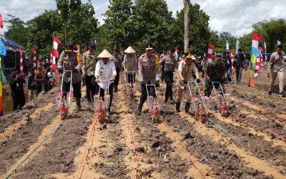 Pengembangan Jagung Jadi Prioritas Ketahanan Pangan Kapuas