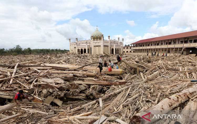 Kemenhut Sebut Kayu Terbawa Banjir Dapat Dimanfaatkan Masyarakat