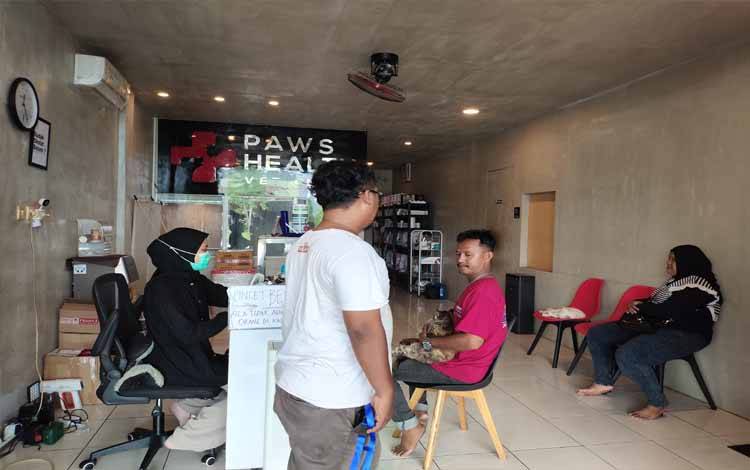 Paw's Health Vet Clinic Tawarkan Harga Khusus Penitipan Hewan di Momen Natal