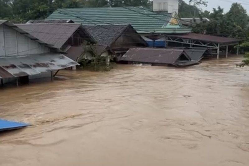 Banjir Bandang Menerjang Balangan, Air Setinggi Atap Mengubah Desa dalam Semalam