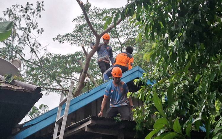 Kesejahteraan dan SDM Relawan Kebencanaan di Palangka Raya Harus Diperhatikan