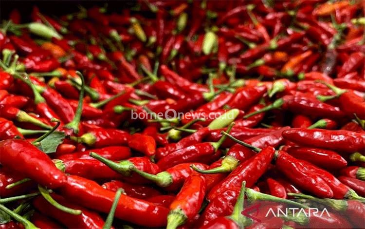 Harga Cabai Rawit Merah dan Gula Pasir di Pangkalan Bun Turun pada 21 Mei 2026