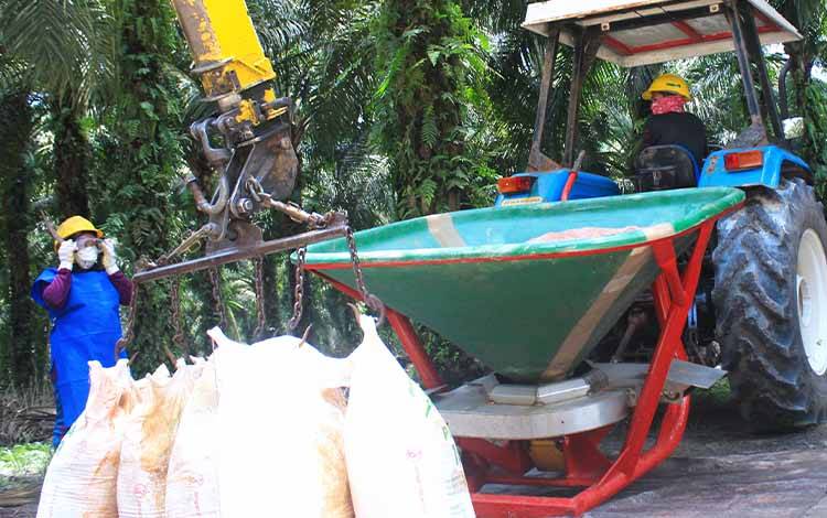 Keberagaman Minyak Nabati Dunia Jadi Bagian Penting Ketahanan Pangan Global
