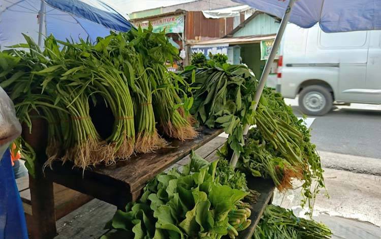DPRD Palangka Raya Berharap Harga Sayur Mayur tak Naik Jelang Akhir Tahun