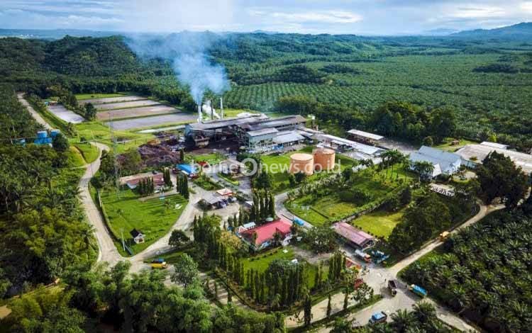 Ilustrasi perkebunan kelapa sawit. (FOTO: Istimewa)