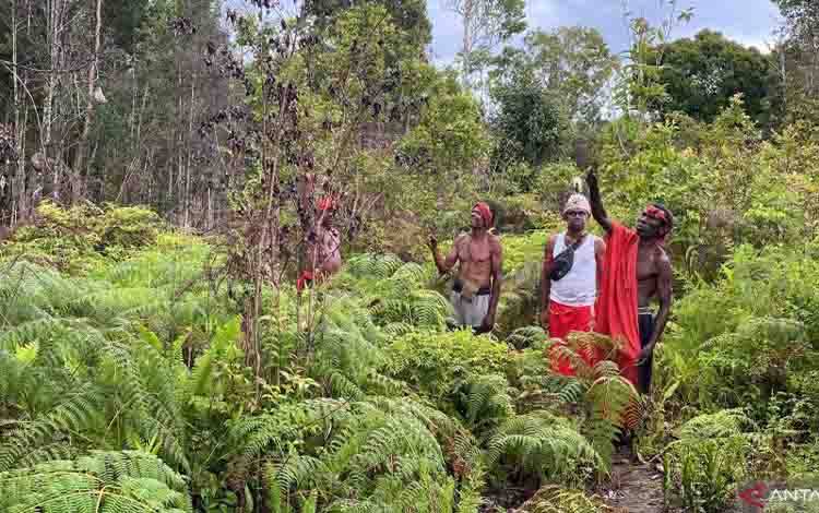 Ilustrasi - Masyarakat hukum adat di Distrik Konda dalam kegiatan verifikasi objek untuk penetapan hutan adat yang dilakukan bersama Tim Terpadu Verifikasi Usulan Penetapan Hutan Adat di Distrik Konda, Kabupaten Sorong Selatan, Papua Barat Daya, Selasa (15/10/2024). ANTARA/Prisca Triferna