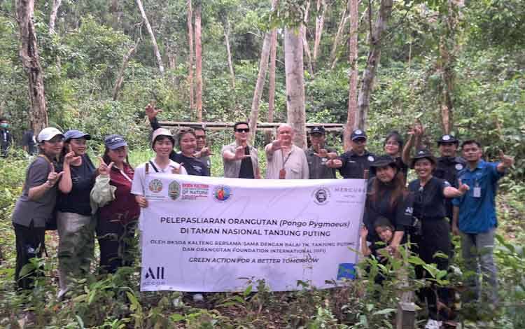 OFI-? BKSDA SKW II, Hotel Mercure Pangkalan Bun dan artis Indonesia Dirly Dave saat melakukan pelepasliaran 2 orangutan jantan di Resort Tanjung Harapan, kawasan Taman Nasional Tanjung Puting, Selasa, 30 Desember 2025.