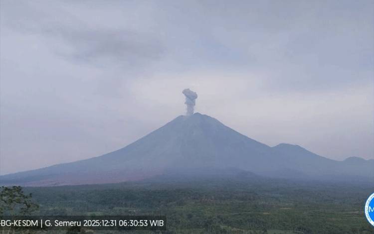 Semeru Erupsi Tiga Kali dengan Ketinggian Letusan Capai 900 Meter