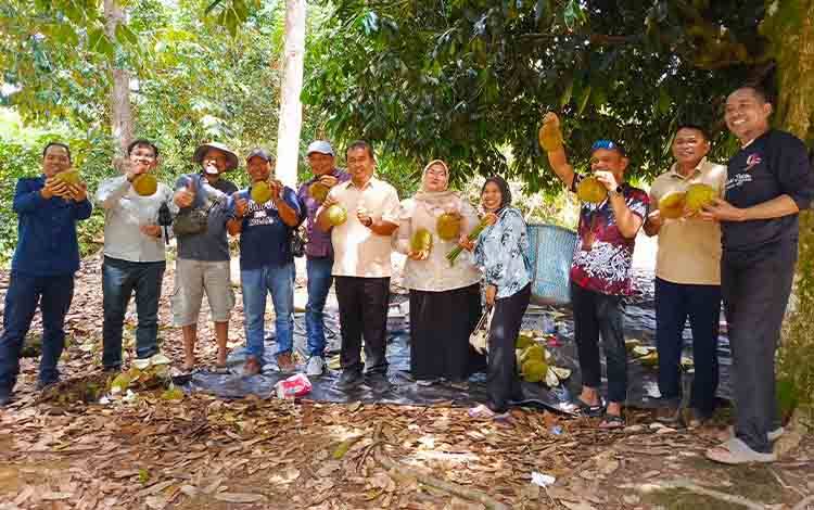 Durian Cempaga Kotim Layak Dikenal Masyarakat Luas