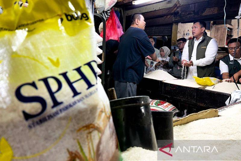 Beras SPHP Dipastikan Mengalir Sepanjang 2026, Bulog Atur Volume Saat Panen Raya, Berikut HET Zona Kalimantan