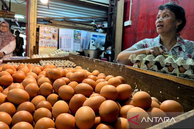 PIHPS: Harga Cabai Rawit Merah Rp67.300/Kg, Telur Ayam Rp32.750/Kg