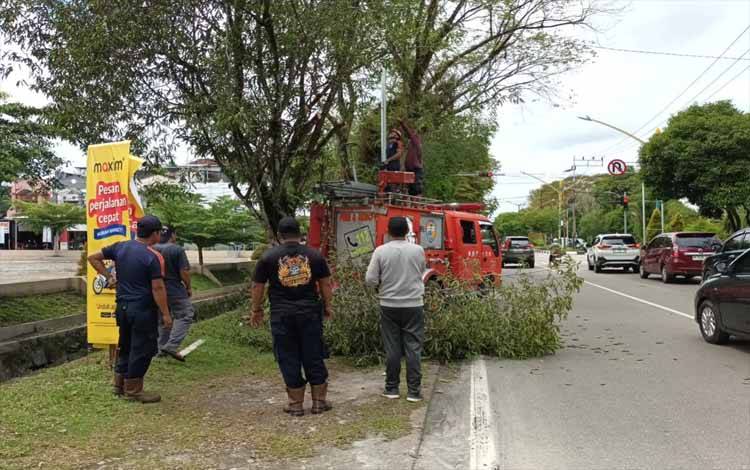 Tim Gabungan Call Center 112 Palangka Raya Lakukan Pemangkasan Pohon di Jalan Diponegoro