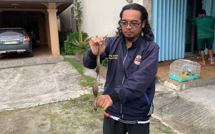 Kabag Ops ERP Yustinus Exaudi saat mengamankan ular sanca batik (Foto : ERP)