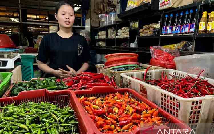 Bapanas: Harga Cabai Rawit Rp58.796/kg, Bawang Merah Rp39.173/kg