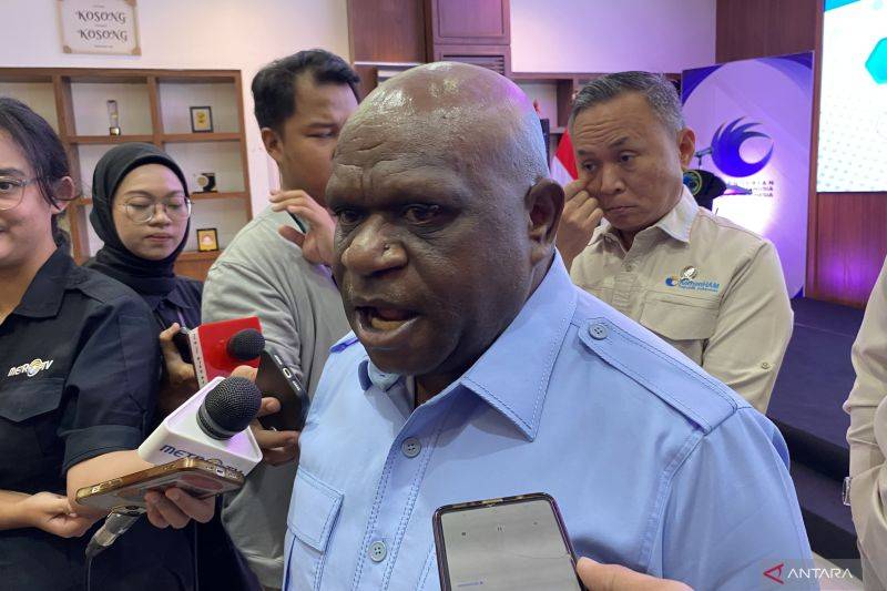 Pigai: Soal Pasal Penghinaan Presiden, Publik Tak Perlu Terlalu Cemas