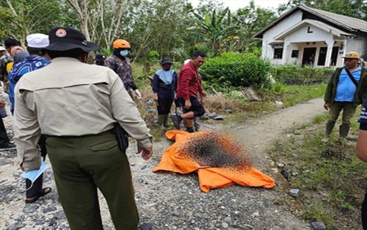 Mayat Pria Membusuk Ditemukan Warga di Desa Karya Maju Batola