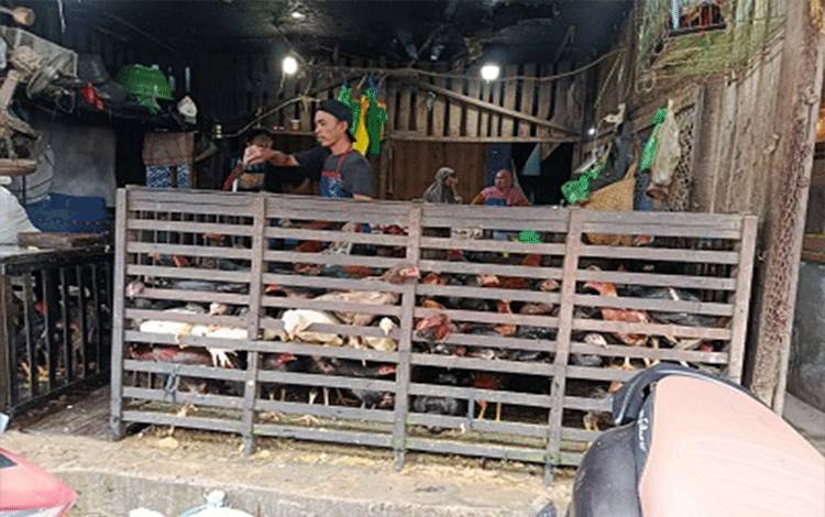 DPRD Dorong Sosialisasi Kebersihan Khusus Lapak Unggas di Pasar Palangka Raya