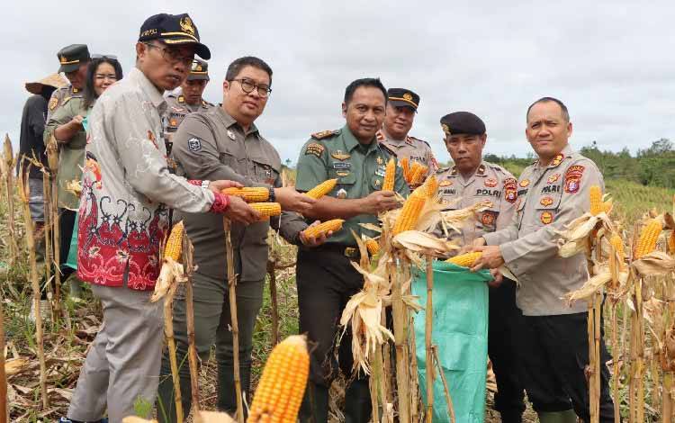 Polres Gunung Mas Panen 1,5 Ton Jagung untuk Dukung Ketahanan Pangan