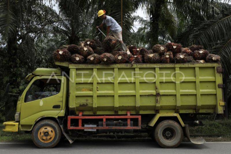 Pemkab Kotim Fasilitasi 464 Lowongan Kerja
