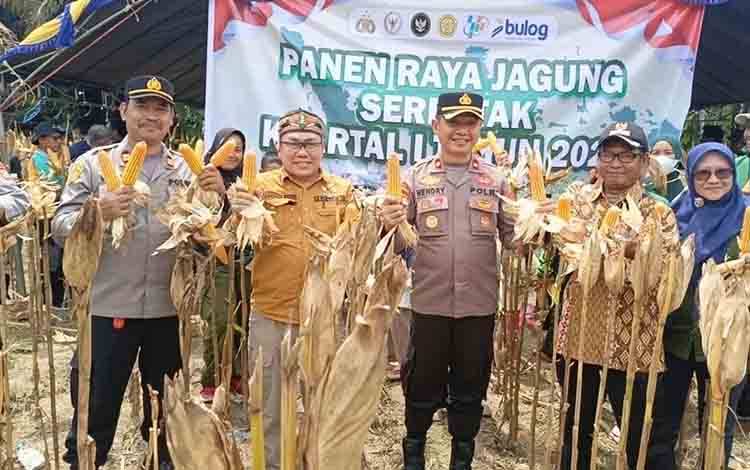 Panen Jagung Serentak Polres Seruyan Dukung Ketahanan Pangan dan Ekonomi Warga