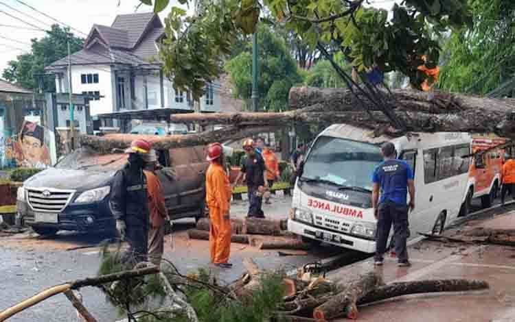 Pohon Tumbang di Seberang RSUD Sultan Imanuddin Timpa Ambulans dan Mobil