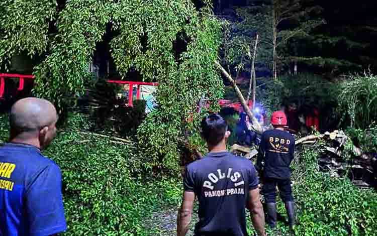 BPBD Pulang Pisau Lakukan Penanganan Pohon Tumbang Akibat Angin