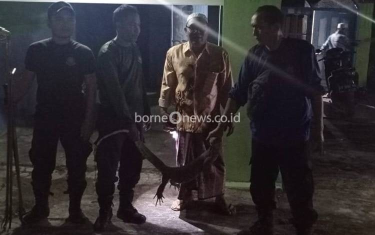 Tim Animal Rescue Damkarmat Seruyan Evakuasi Biawak Masuk Rumah Warga di Kuala Pembuang