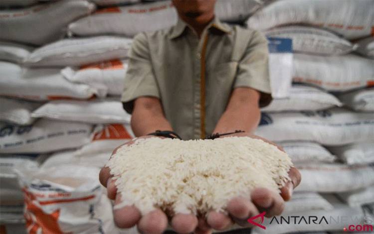 Harga Beras dan Cabai Berfluktuasi di Kobar, Ayam Ras Turun