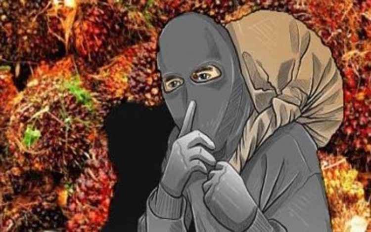 Kebun Petani di Lamandau Jadi Sasaran Pencurian Sawit, Korban Kehilangan Hasil Panen