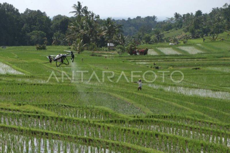 DPKP Kotim Nilai Bantuan Drone Kementan Tingkatkan Efisiensi Kerja Petani
