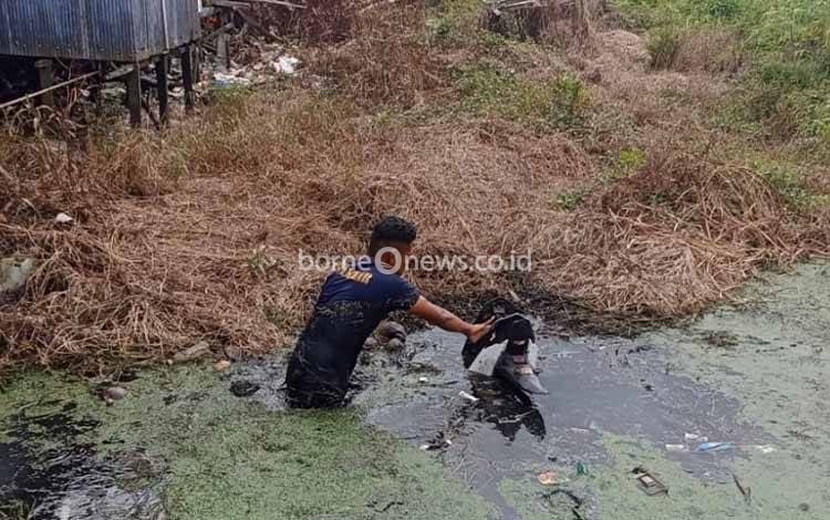 Pengendara Mengantuk, Motor Terperosok di Drainase Bundaran I Kuala Pembuang