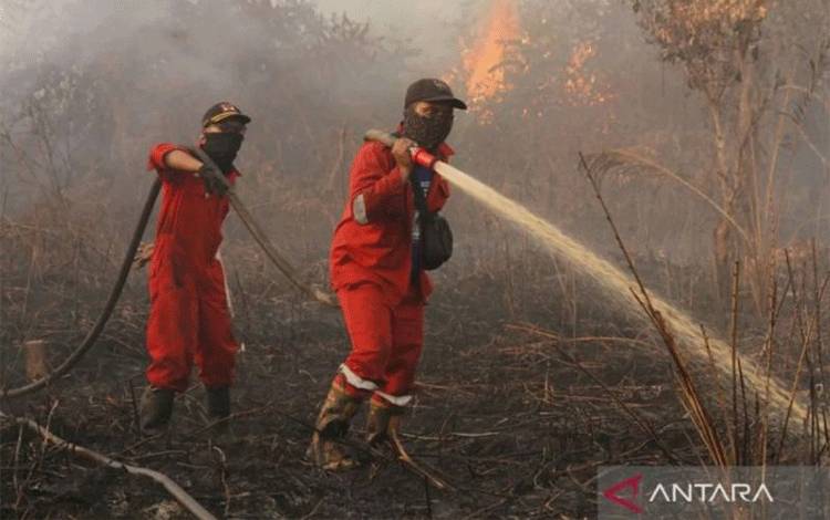 Kemenhut: Jumlah Titik Panas pada 2025 Turun Drastis Dibandingkan 2019