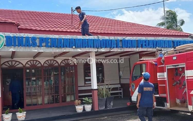 Monyet Liar Ganggu Permukiman dan Perkantoran di Seruyan