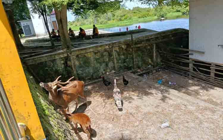 Disparbudpora Palangka Raya Fokus Pemerataan Kunjungan Wisata di 2026