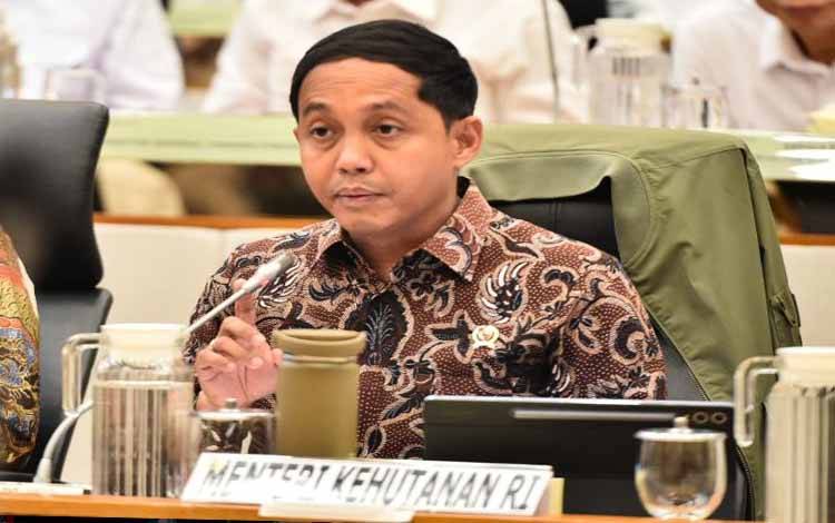 Menhut Perkuat Perlindungan Hutan Lewat Moratorium Pemanfaatan Kayu