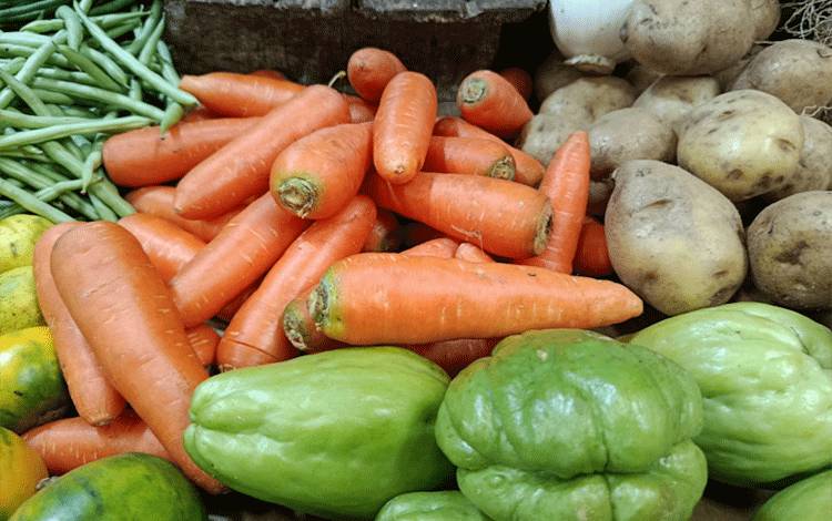 Cuaca Ekstrem Berdampak Serius pada Tanaman Hortikultura di Palangka Raya