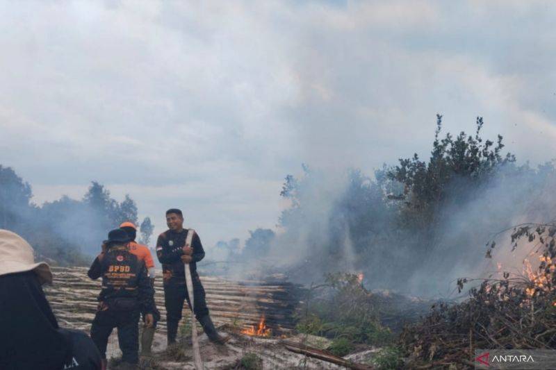 BNPB Catat Karhutla di Kalteng, Aceh, dan Riau Meski Masih Musim Hujan