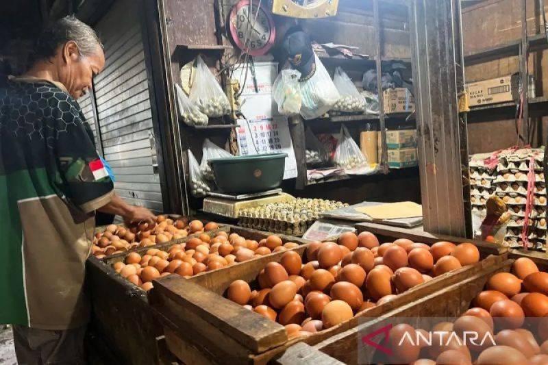 DPRD Palangka Raya Kawal Kebijakan Harga Acuan Telur Ayam Rp24 Ribu per Kg