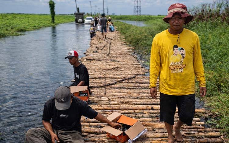 Banjir Sekian Lama, Warga Desa Bangkau Kalsel Bangun Jembatan Darurat dari Kayu Galam