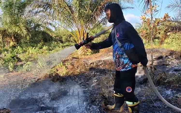 Awal Tahun, BPBD Palangka Raya Tangani 2 Kejadian Karhutla
