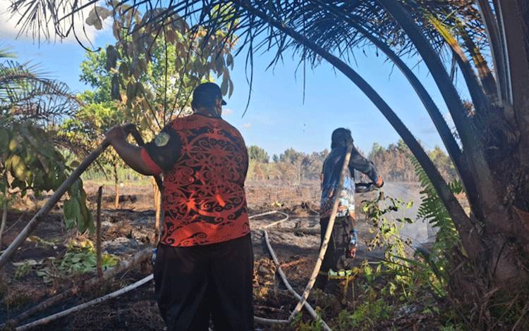 Puluhan Titik Api Terdeteksi di Beberapa Kecamatan Palangka Raya, BPBD Bekerja Ekstra