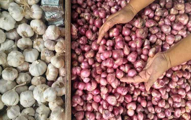 Bawang merah (Dokumen MARINI)