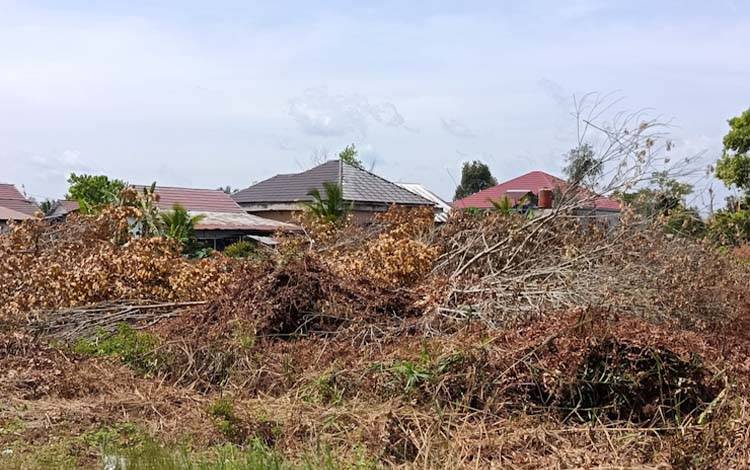 Cuaca Panas Mengkhawatirkan, DPRD Palangka Raya Waspadai Ancaman Karhutla dan Kabut Asap