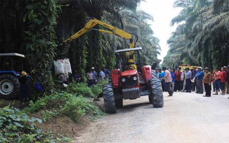 Pemanenan kelapa sawit di perkebunan.(FOTO: Istimewa)