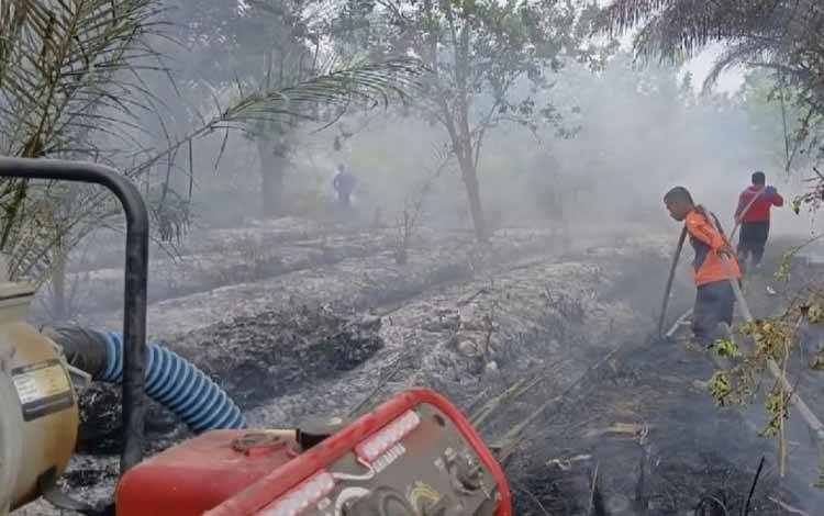 BPBD Kotawaringin Timur Petakan Daerah Rawan Karhutla