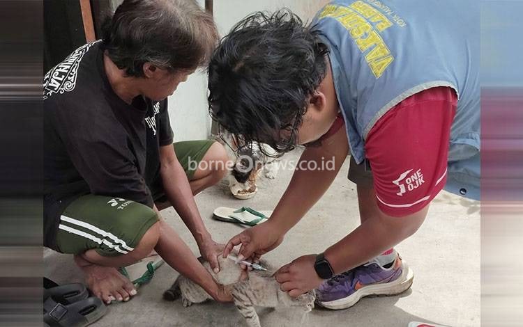 DPKP Palangka Raya Perkuat Vaksinasi Rabies Gratis di Permukiman Padat