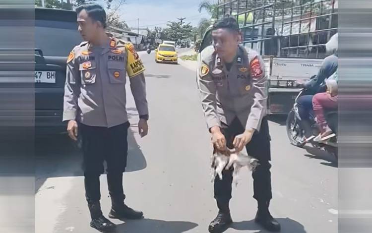 Polisi Kapuas Tengah Tuai Respek Usai Evakuasi dan Kuburkan Anak Kucing di Pinggir Jalan