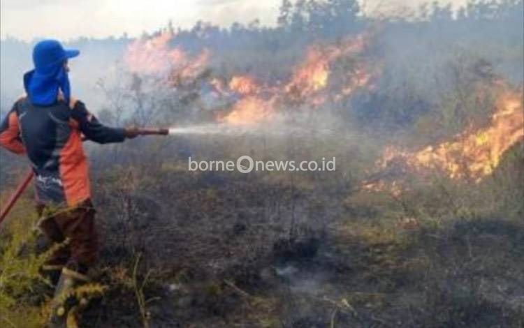 Penanganan kebakaran hutan dan lahan di Kalteng pada Januari 2026. (FOTO: IST)