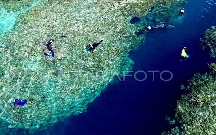 RI Pastikan Program Konservasi Terumbu Karang dengan AS Tetap Berjalan