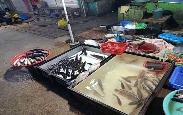 Harga Ikan Gabus Naik Rp20.000 per Kg, Wawali Palangka Raya: Masih Wajar dan Tak Dampak Inflasi